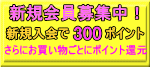 �ᥬ�� ���β���罸��