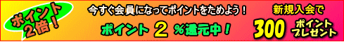 ¥á¥¬¥ÍÄÌÈΤβñ°÷¥Ý¥¤¥ó¥È¡¡2¡ó´Ô¸µÃæ